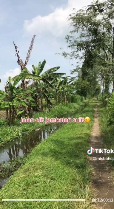 Momen Kocak Sopir Google Maps Nyasar, Ketemu Sungai Tanpa Jembatan Akhirnya Mundur di Jalan Sempit