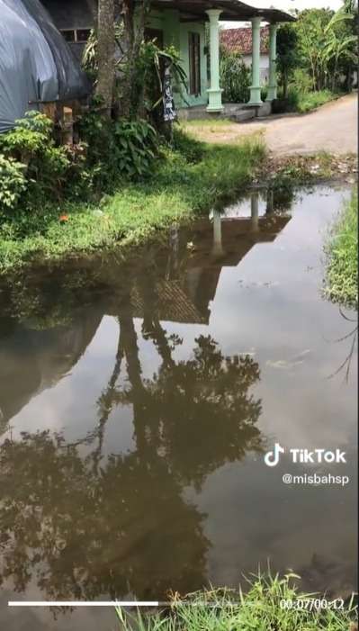 Momen Kocak Sopir Google Maps Nyasar, Ketemu Sungai Tanpa Jembatan Akhirnya Mundur di Jalan Sempit