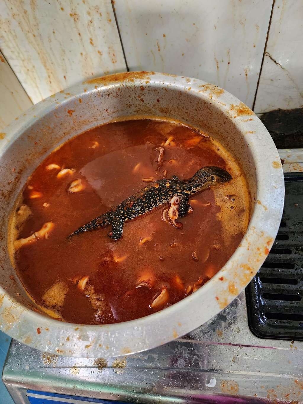 Akibat bantah perintah ibu, masakan sambal cumi kemasukan kadal.