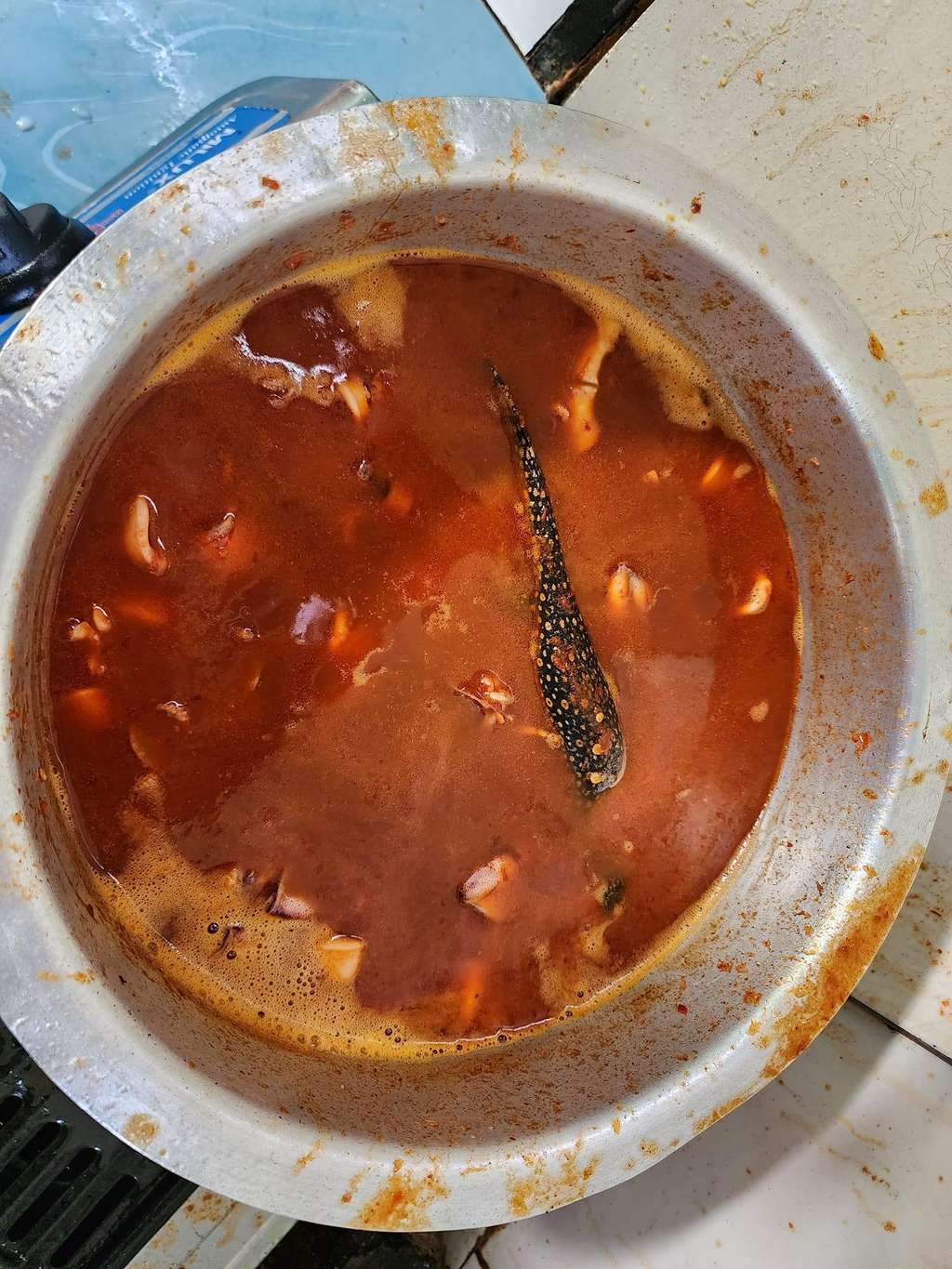 Akibat bantah perintah ibu, masakan sambal cumi kemasukan kadal.