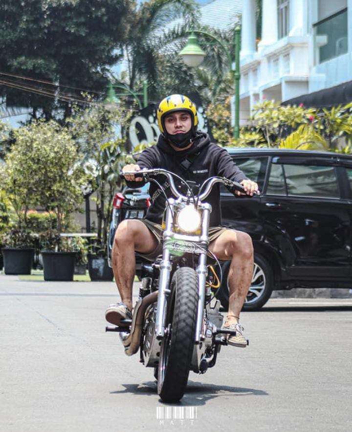 Potret Vicky Nitinegoro
