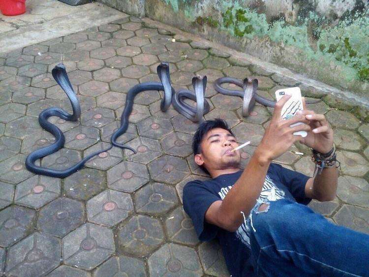 Gambar terkutuk yang bikin takut dan merinding.