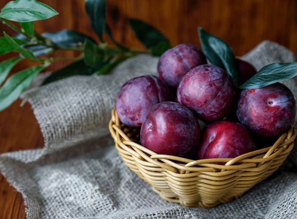 Plum