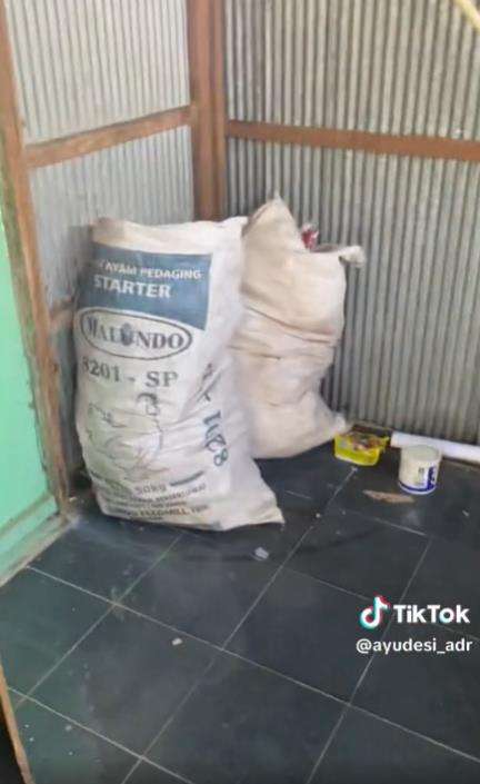 Ditinggal kabur, kontrakan mirip rumah terbengkalai.