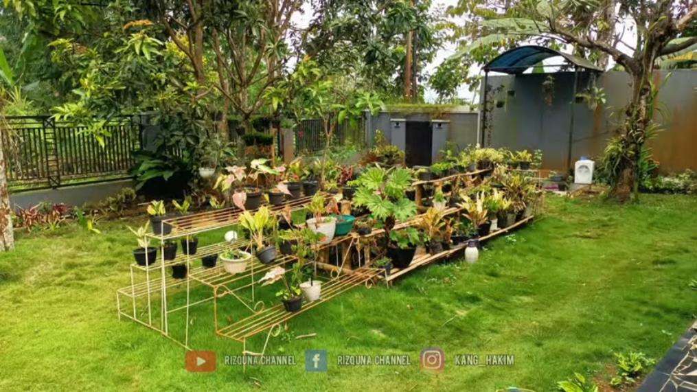 Rumah mewah terpencil tanpa tetangga.