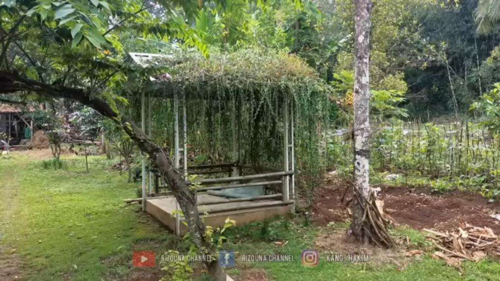Rumah mewah terpencil tanpa tetangga.