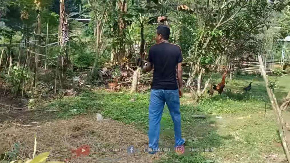 Rumah mewah terpencil tanpa tetangga.