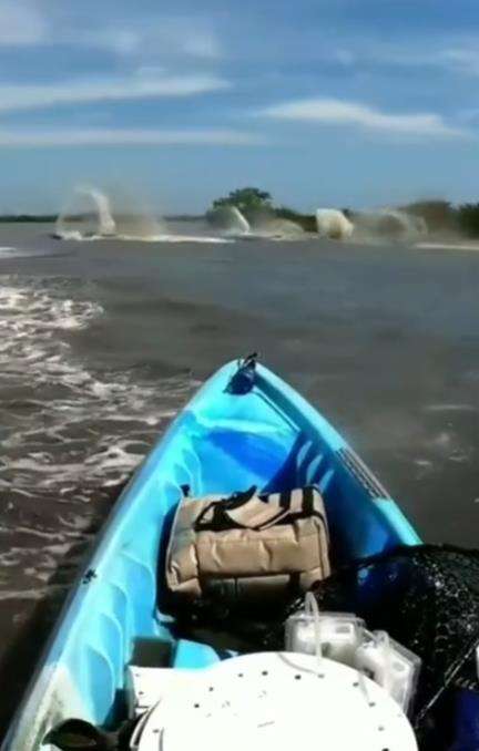 Mitos makhluk air sulur bidar yang ditakuti pemancing.