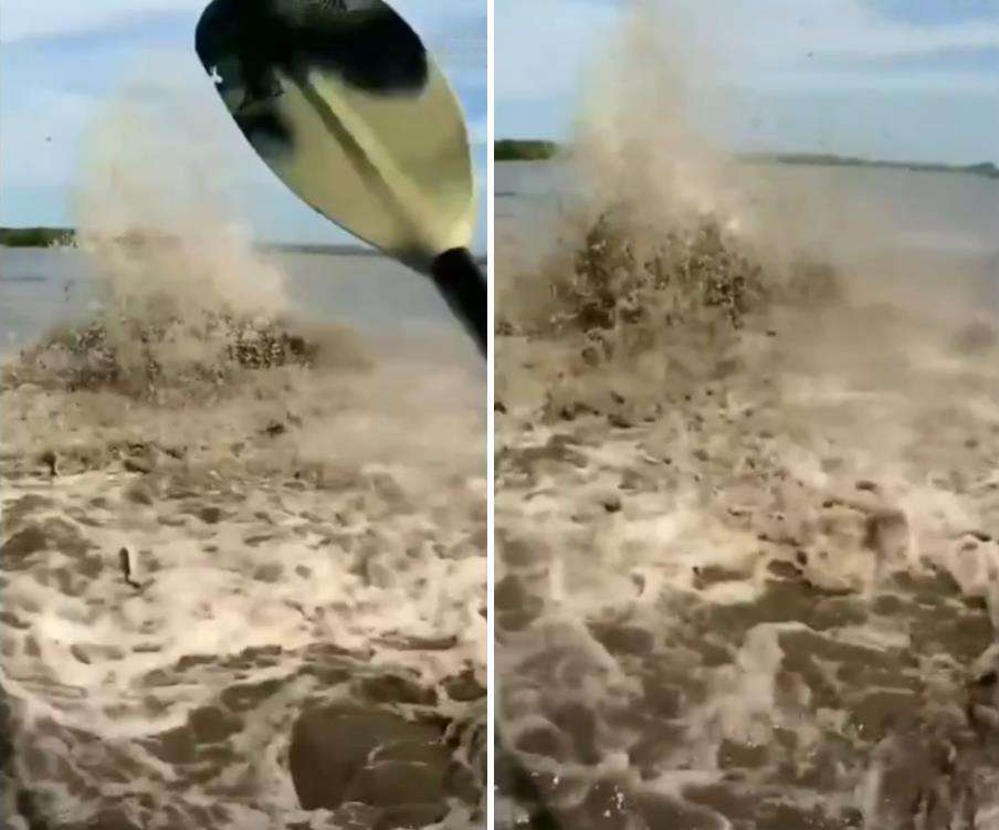 Mitos makhluk air sulur bidar yang ditakuti pemancing.