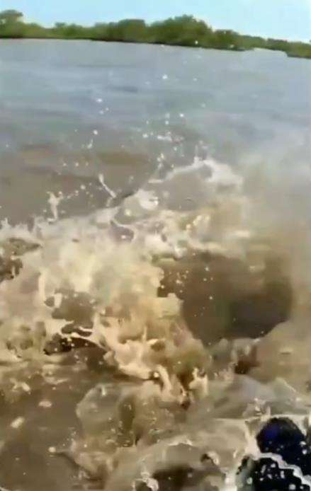 Mitos makhluk air sulur bidar yang ditakuti pemancing.