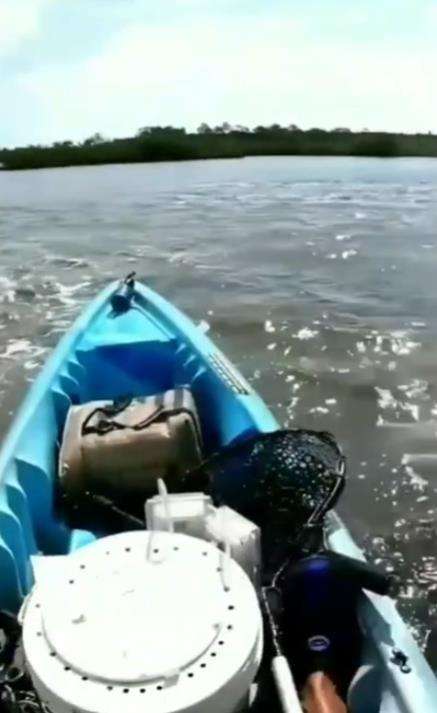 Mitos makhluk air sulur bidar yang ditakuti pemancing.