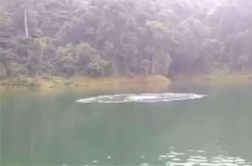 Mitos makhluk air sulur bidar yang ditakuti pemancing.