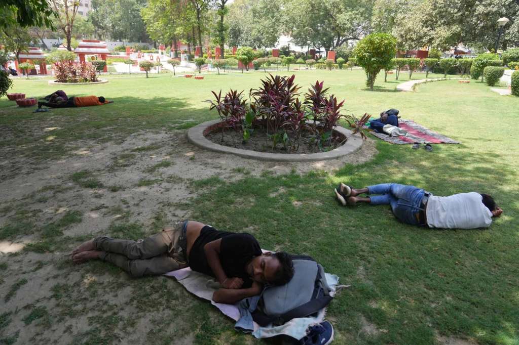Penduduk di India tidur di bawah pohon untuk menghindari panas Penduduk di India tidur di bawah pohon untuk menghindari panas