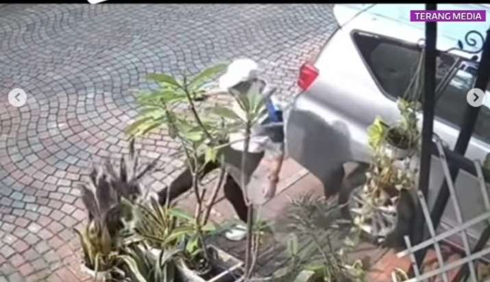 Niat Spill Kelakuan Tetangga Cari Pembelaan Warganet, Malah Balik Dirujak Karena Meletakkan Pot Hingga Keluar Pekarangan