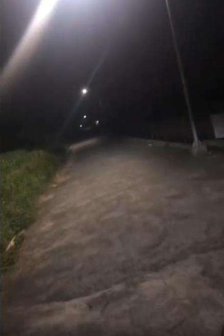 Temuan kepala ular di setang sepeda motor.