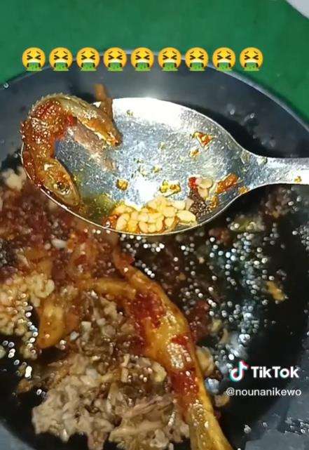 Asyik makan tergigit bangkai cicak.