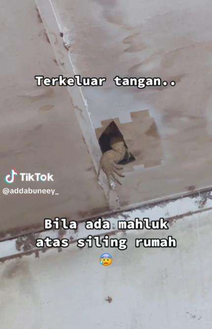 Biawak masuk rumah lewat plafon