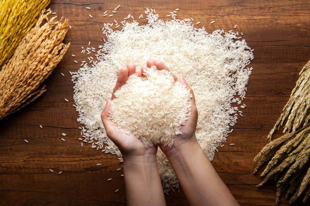 Anti Gagal, Begini Tips Memasak Nasi Kuning yang Pulen dan Sedap