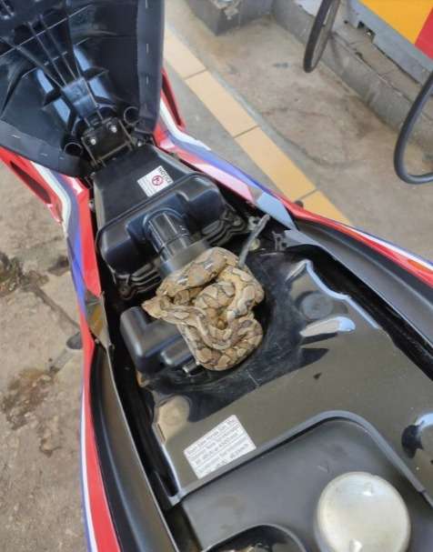 Pulang Kerja Motor Terasa Berat, Saat Isi Bensin Terungkap Penyebabnya Bikin Merinding