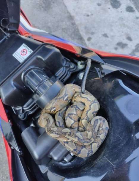 Pulang Kerja Motor Terasa Berat, Saat Isi Bensin Terungkap Penyebabnya Bikin Merinding