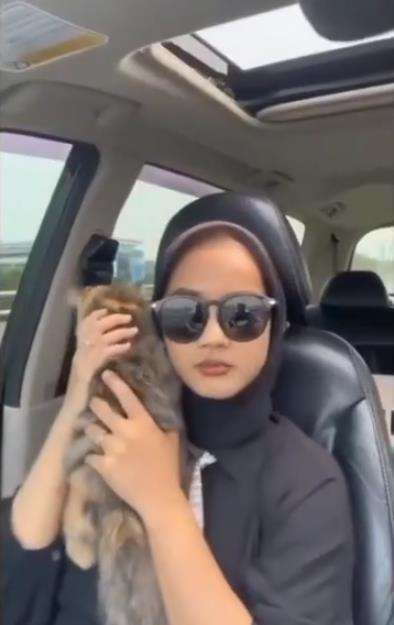 Kucing berak.