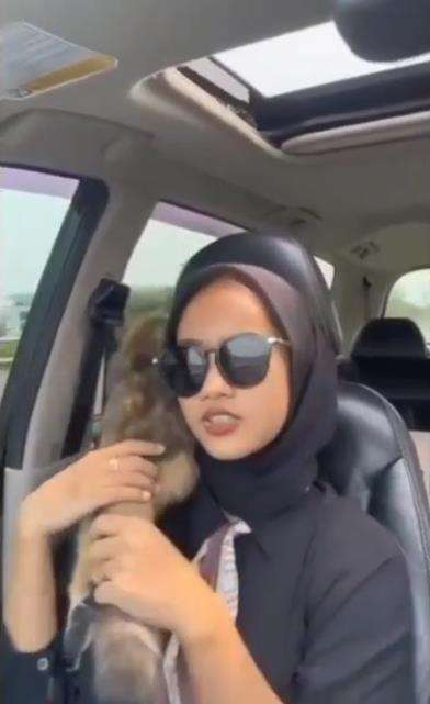 Kucing berak.