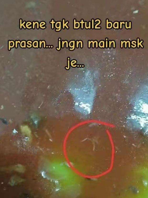 Cacing dalam kaleng sarden.