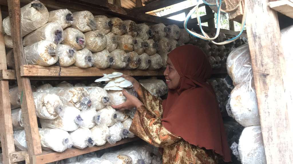 Dompet Dhuafa Berdayakan 7500 UMKM Jawa Tengah, Berasal dari Dana ZIS