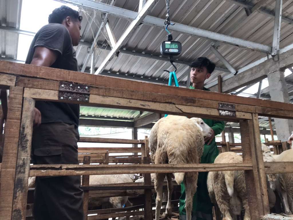 Ratakan Manfaat Kurban Lewat Sentra Ternak Pemberdayaan Berbasis Zakat