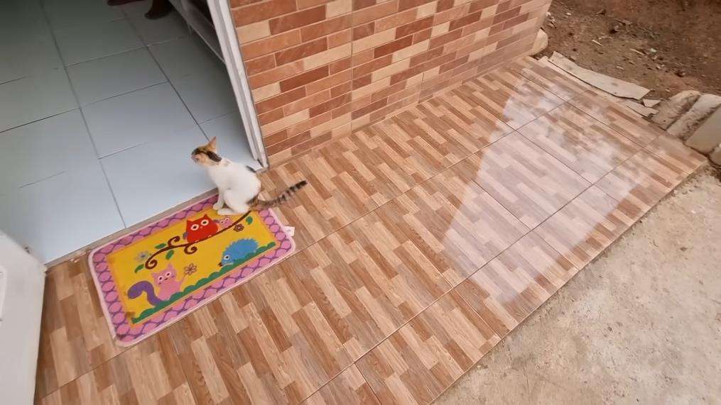 Penampakan rumah hasil Bedah Rumah.