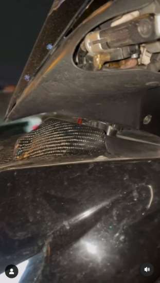 Body Motor Bergetar Bikin Penasaran Pengendara, Pas Dicek Ternyata Ada yang Ikutan Jalan-Jalan di Dalamnya