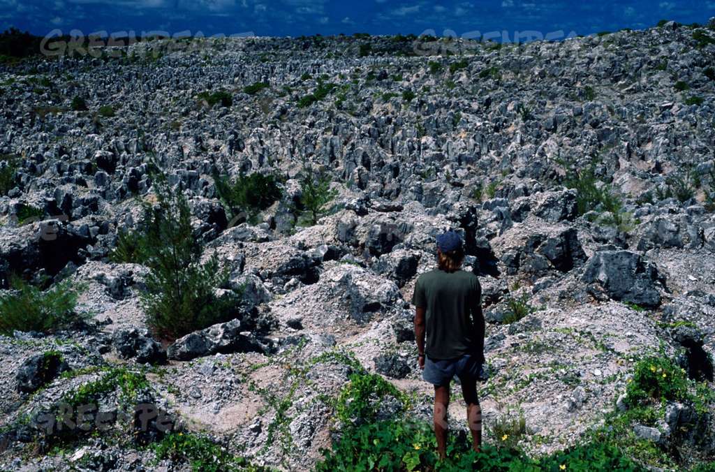 Tambang fosfat di Nauru, digunakan untuk bahan pembuat pupuk Tambang fosfat di Nauru, digunakan untuk bahan pembuat pupuk