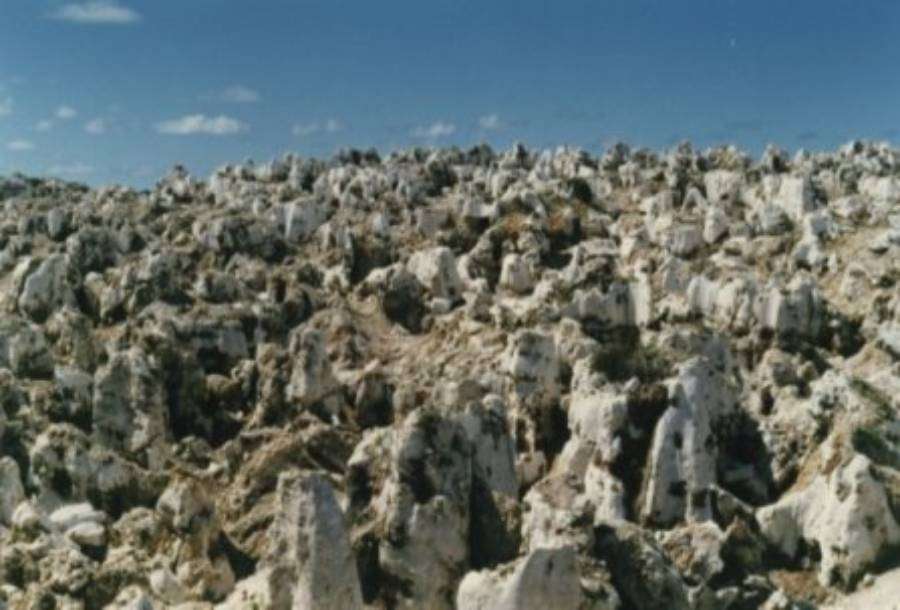 Alama Nauru rusak akibat pertambang fosfat, dan tidak bisa ditinggali dan ditanami Alama Nauru rusak akibat pertambang fosfat, dan tidak bisa ditinggali dan ditanami