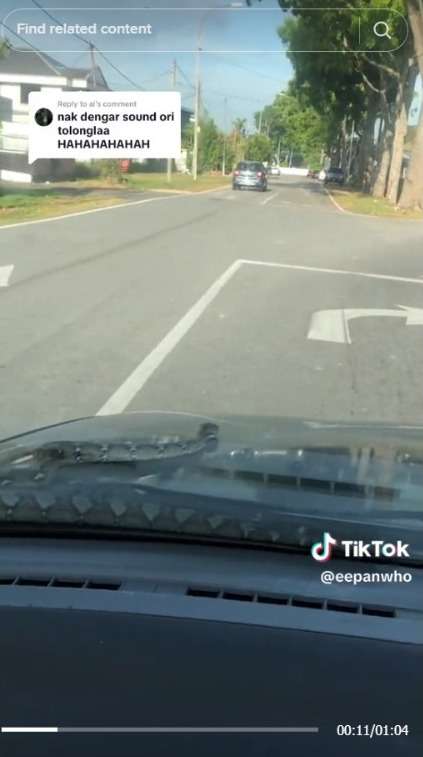 Detik-Detik Menegangkan Ular di Atas Mobil, Teriakan Penumpang Malah Bikin Ngakak