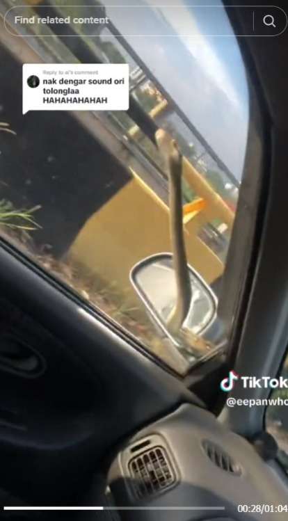 Detik-Detik Menegangkan Ular di Atas Mobil, Teriakan Penumpang Malah Bikin Ngakak