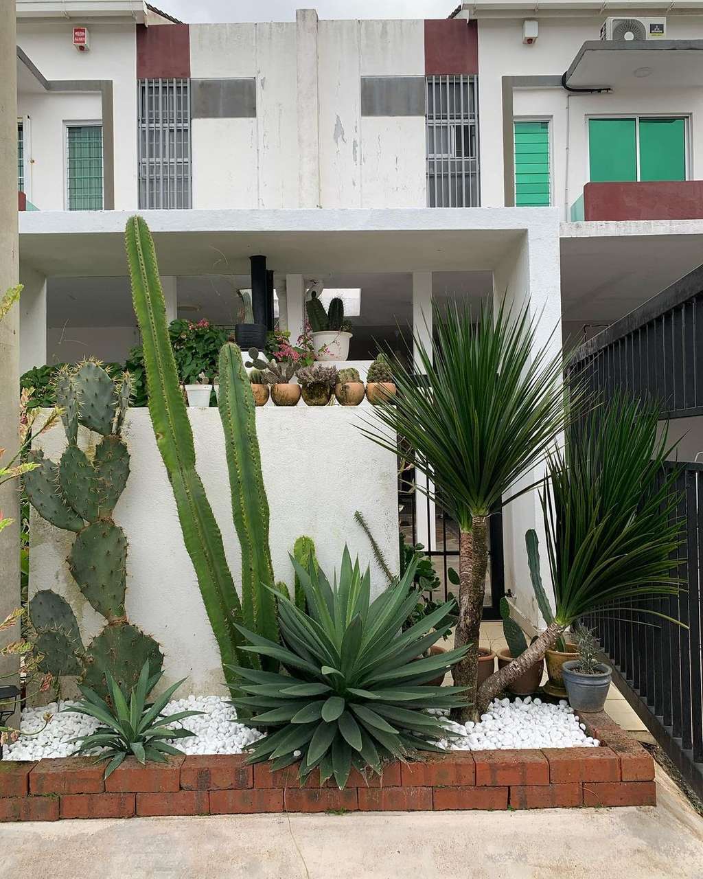 Taman kaktus