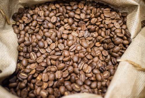 Biji kopi Biji kopi