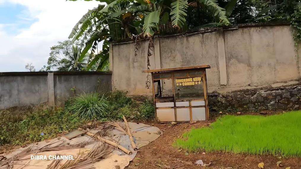 Penampakan rumah megah dan mewah milik penjual gorengan di desa.