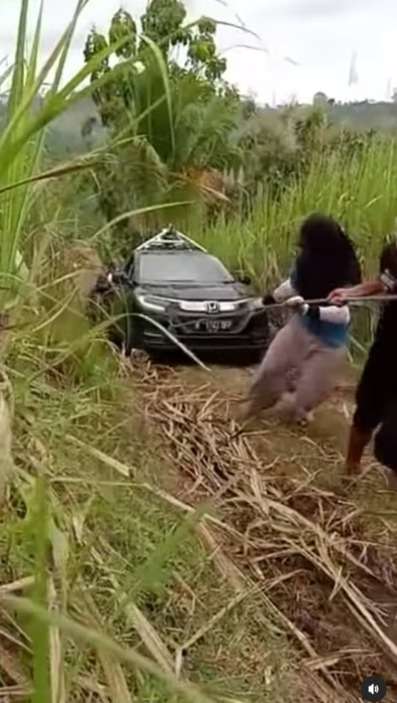 Mobil Google Maps Nyasar Ke Ladang Curam, Sampai Ditarik Rombongan Warga