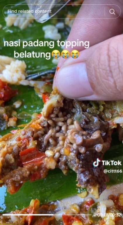 Sedikit Lagi Habis, Wanita Dibuat Terkejut Saat Temukan ini di Ayam Lauk Makanannya