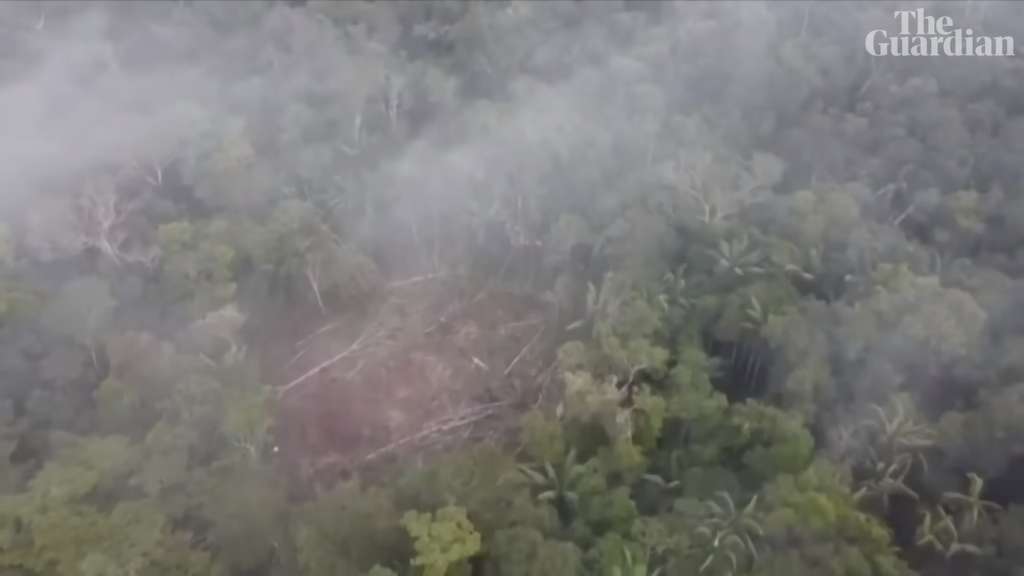 40 Hari Hilang, 4 Orang Bocah Ditemukan Selamat Usai Kecelakaan Pesawat Jatuh di Hutan Amazon