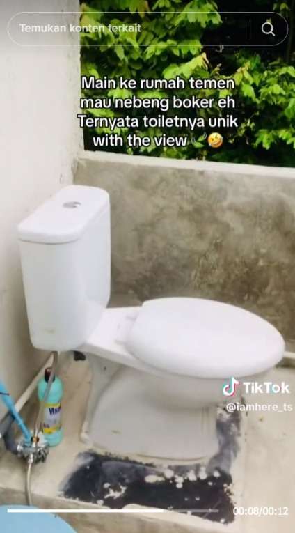 Numpang BAB, Wanita ini Terkejut Melihat Konsep ‘Toilet with The View’ di Rumah Temannya