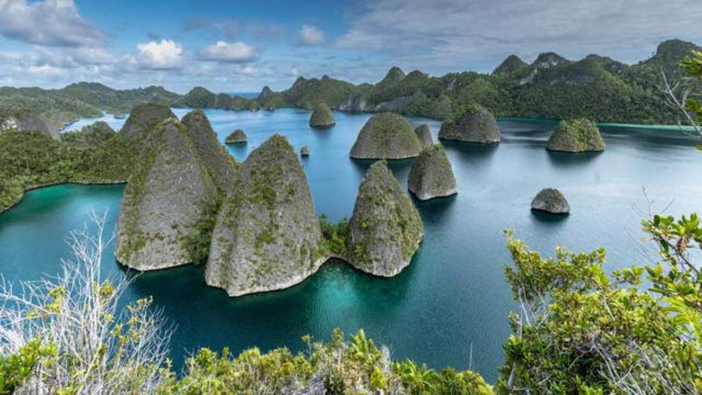Raja Ampat, Papua, Indonesia Raja Ampat, Papua, Indonesia
