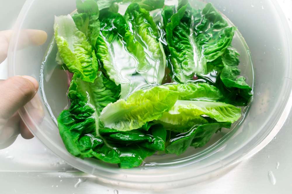 Tips Penting Merebus Sayuran agar Tetap Hijau dan Nutrisinya Tetap Terjaga