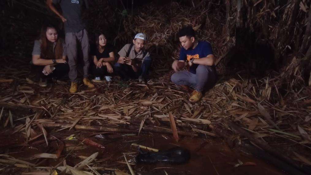 Penemuan ular buntet yang misterius dan langka.