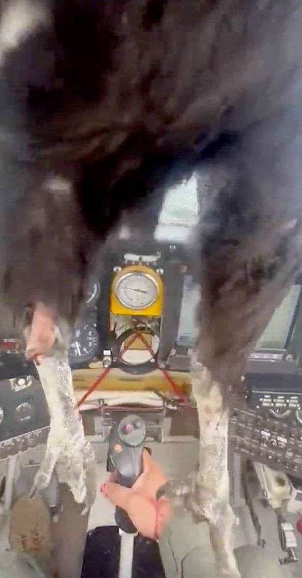 Burung Raksasa Tabrak Pesawat Hingga Nyangkut di Kokpit, Pilot Tetap Santai Berhasil Mendarat dengan Selamat