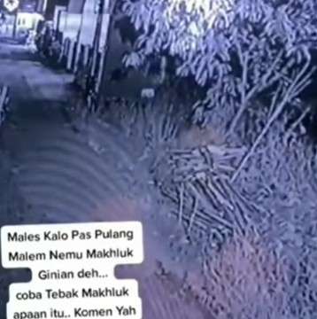Pocong