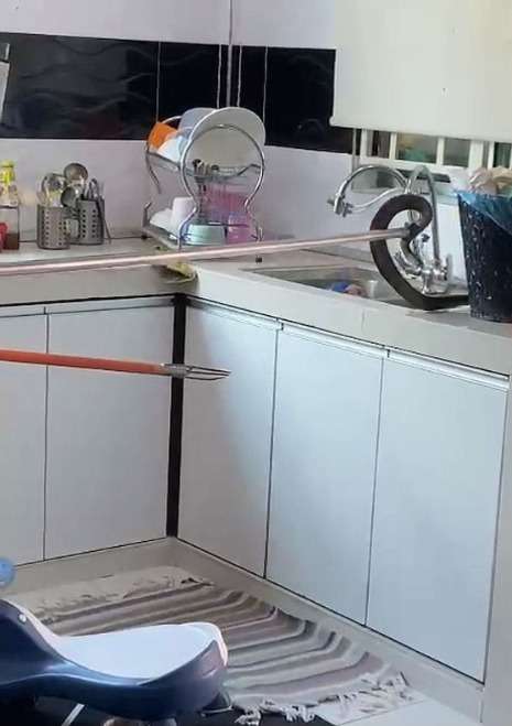 Mengira Suaminya Beli Belut, Ternyata Seekor Ular Kobra Sedang Makan Ayam di Wastafel DapurnyaMengira Suaminya Beli Belut, Ternyata Seekor Ular Kobra Sedang Makan Ayam di Wastafel Dapurnya