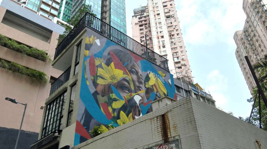 hkwalls 2023