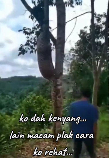@persatanala